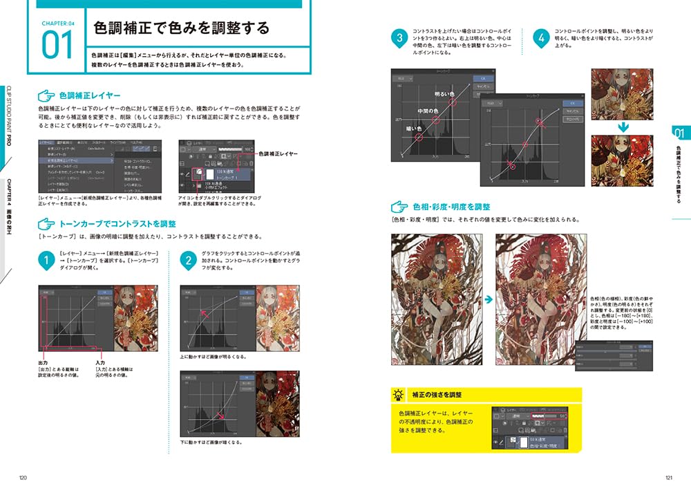 CLIP STUDIO PAINT PRO Official Guide Book Revised Edition