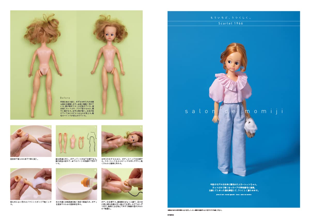 Dollybird vol.36