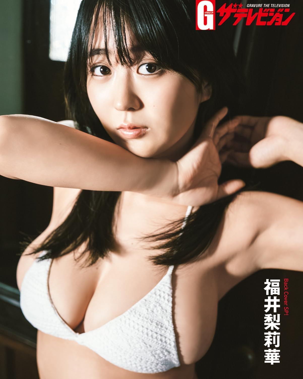 Gravure The Television Vol.83