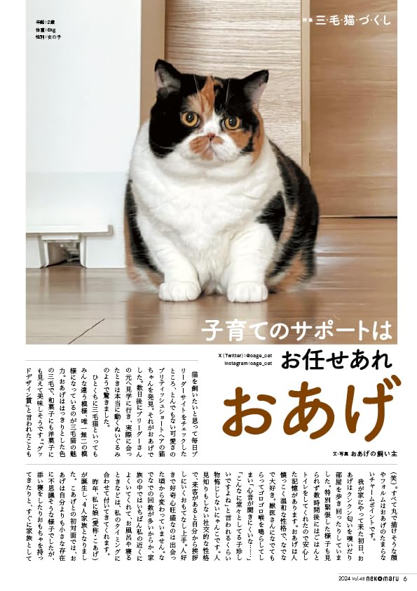 Nekomaru Vol.48 Summer Autumn 2024
