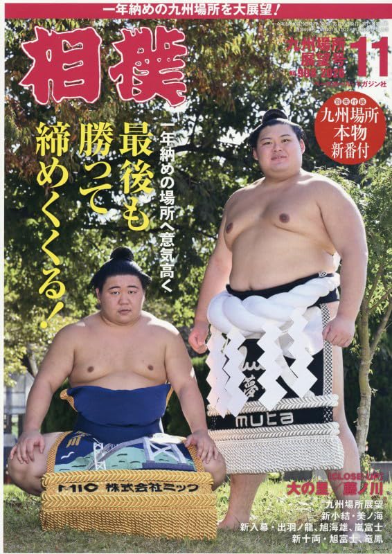 Sumo November 2026 cover