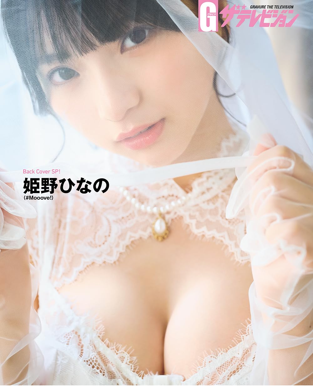 Gravure The Television Vol.80