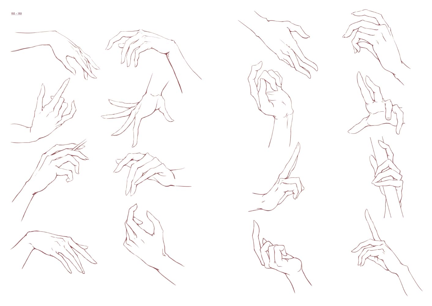Rough Illustrations Before Coloring Artworks