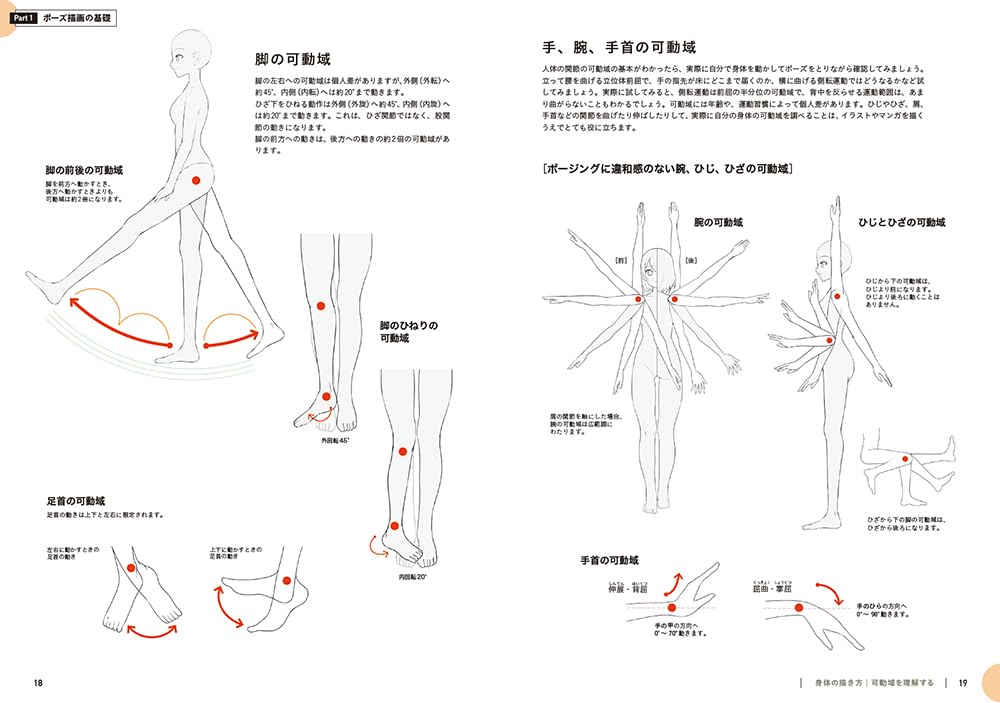 Drawing Class of Poses for Illustrations, Manga
