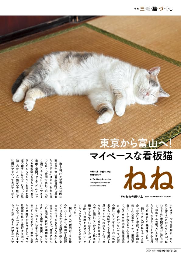 Nekomaru Vol.48 Summer Autumn 2024