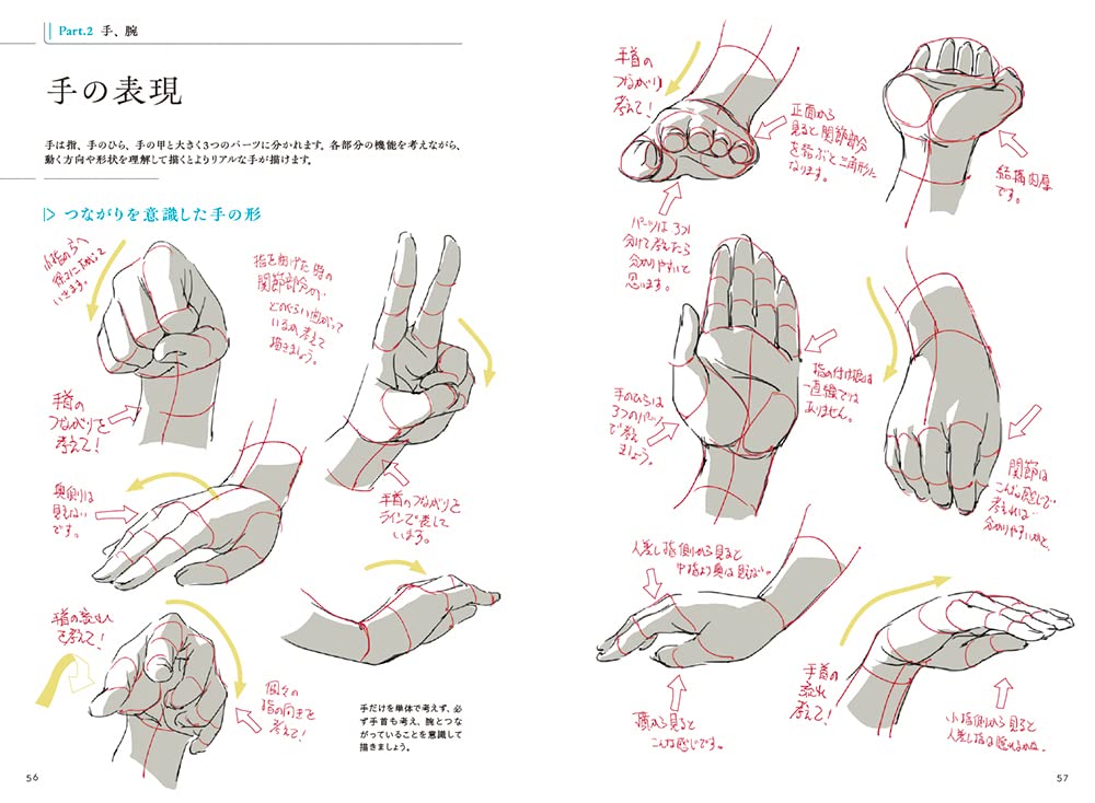 Character drawing techniques taught by animators -Parts-