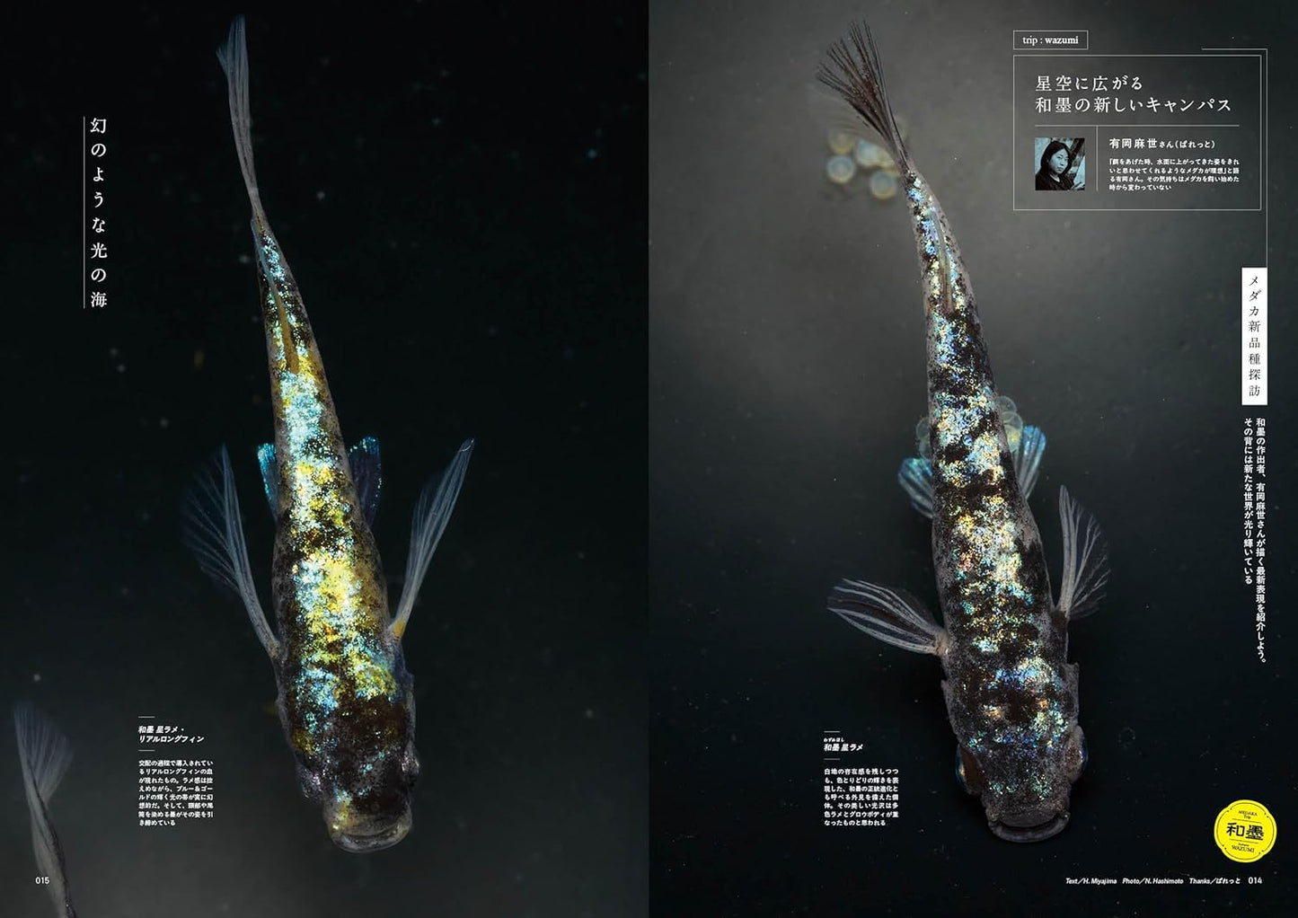 Medaka Trip Vol.1 2025-26 AUTUMN/WINTER