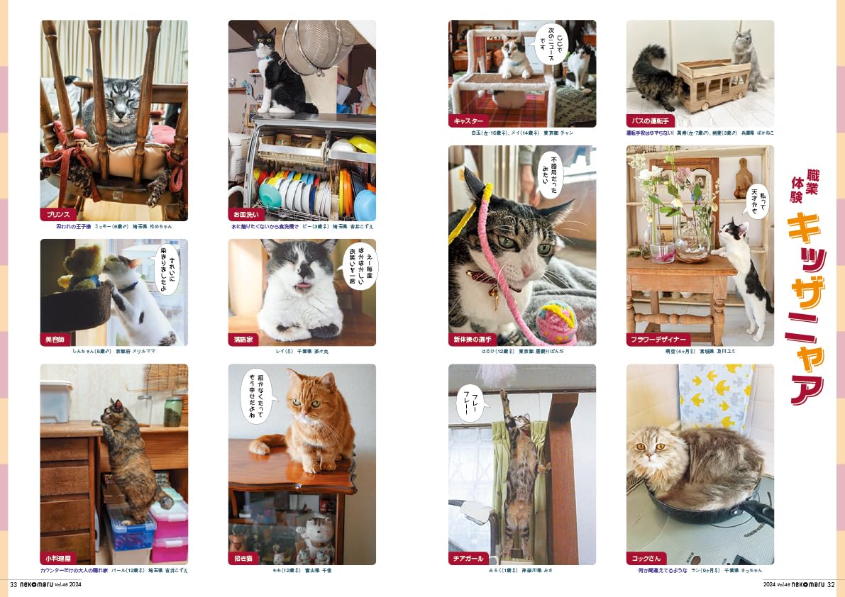 Nekomaru Vol.48 Summer Autumn 2024