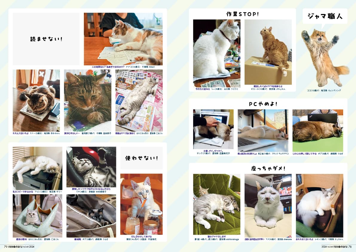 Nekomaru Vol.48 Summer Autumn 2024