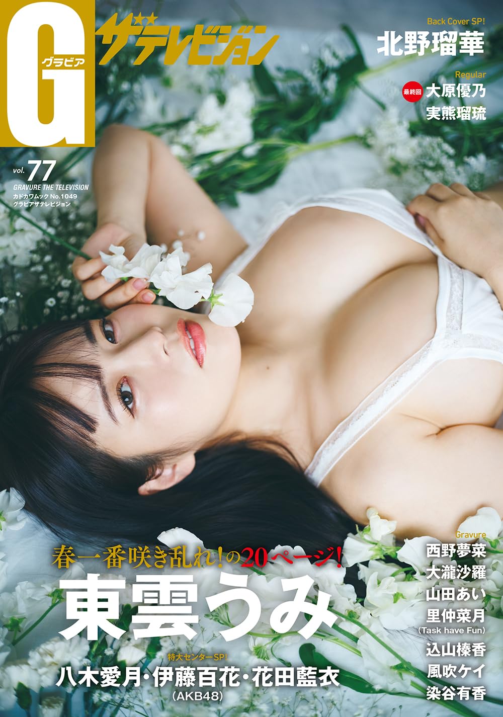Gravure The Television Vol.77