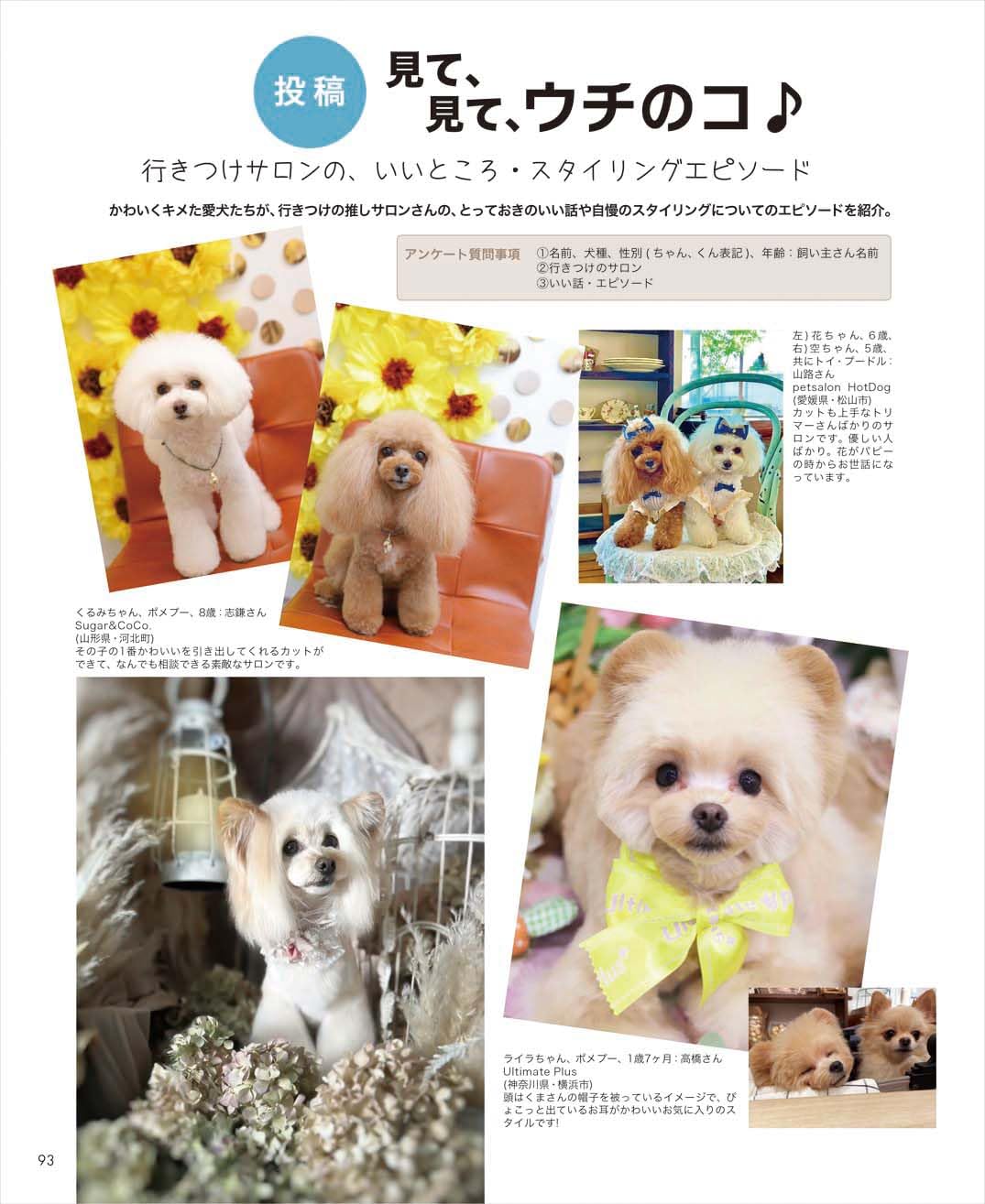 Dog Hair Collection, Trim Note Vol.10