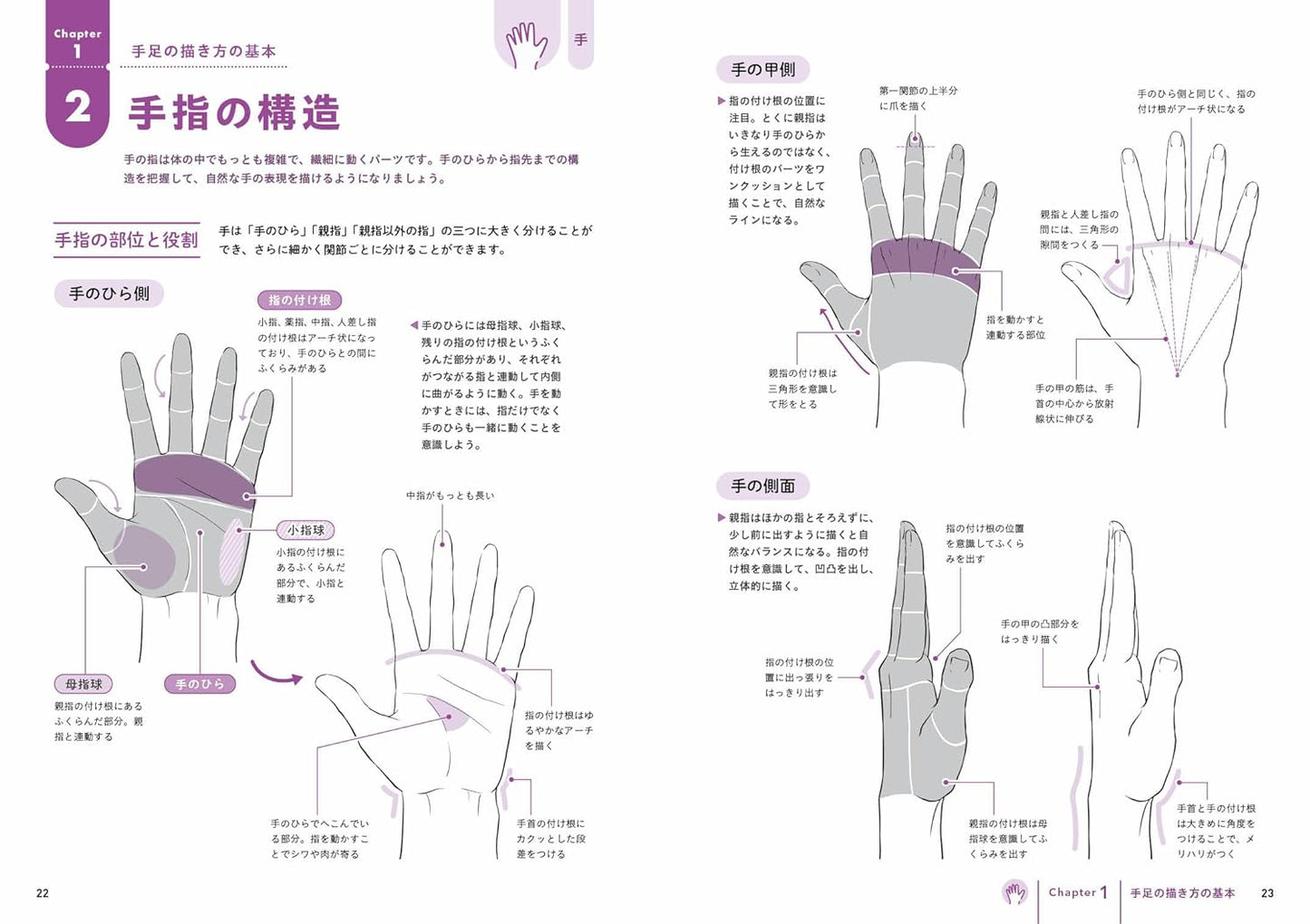 The First BL Drawing: How To Draw Limbs