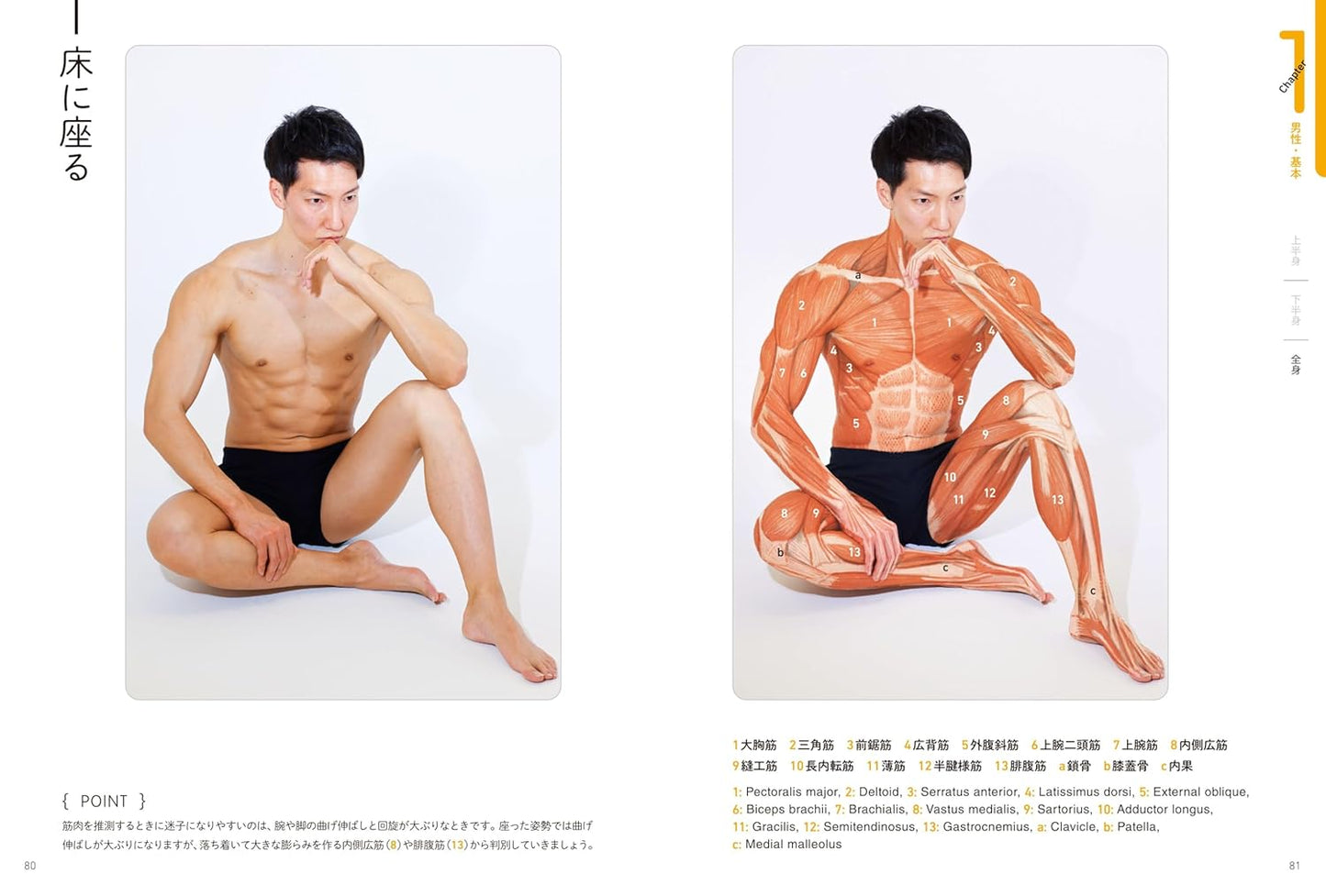 Surface Anatomy For Artists