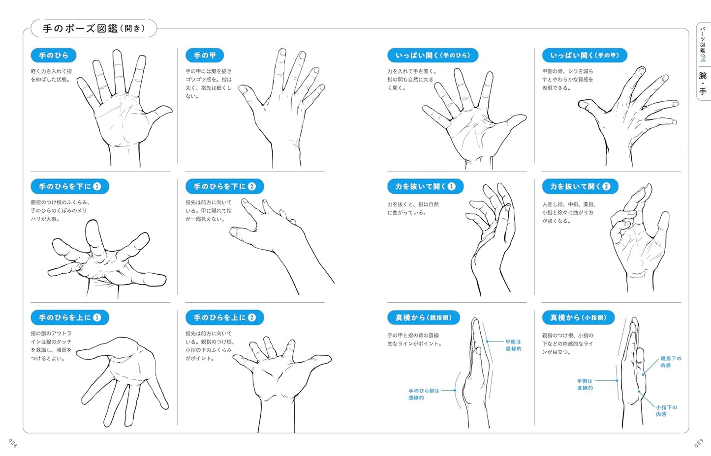 Useful for Drawing! Boy Character Parts Encyclopedia