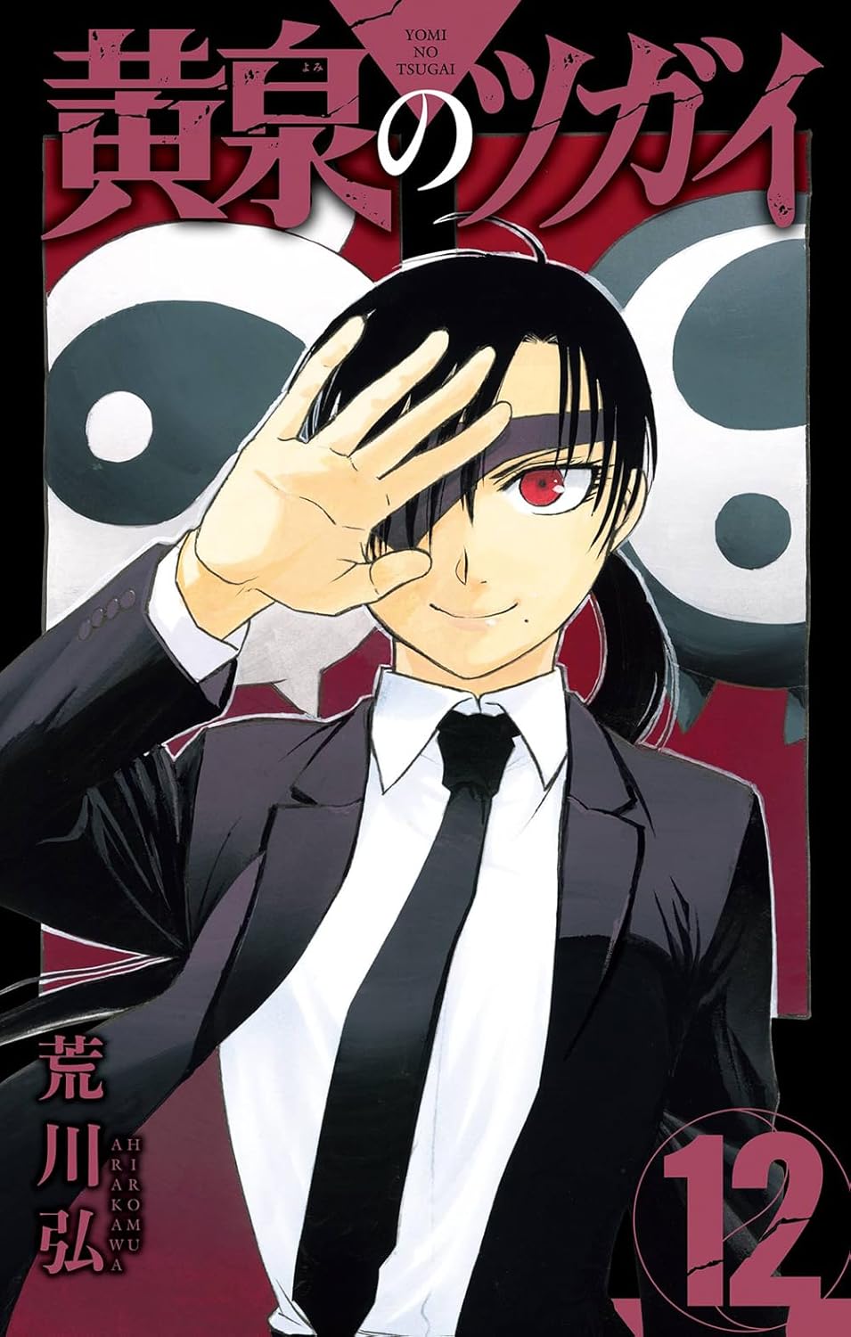Daemons of the Shadow Realm Vol. 12 manga. cover