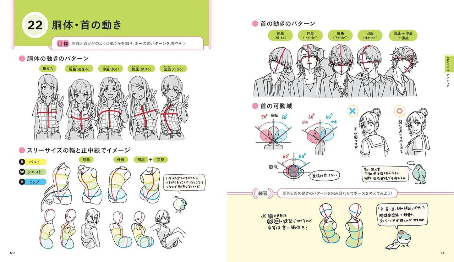 Character Illustration Basics Key Points 88