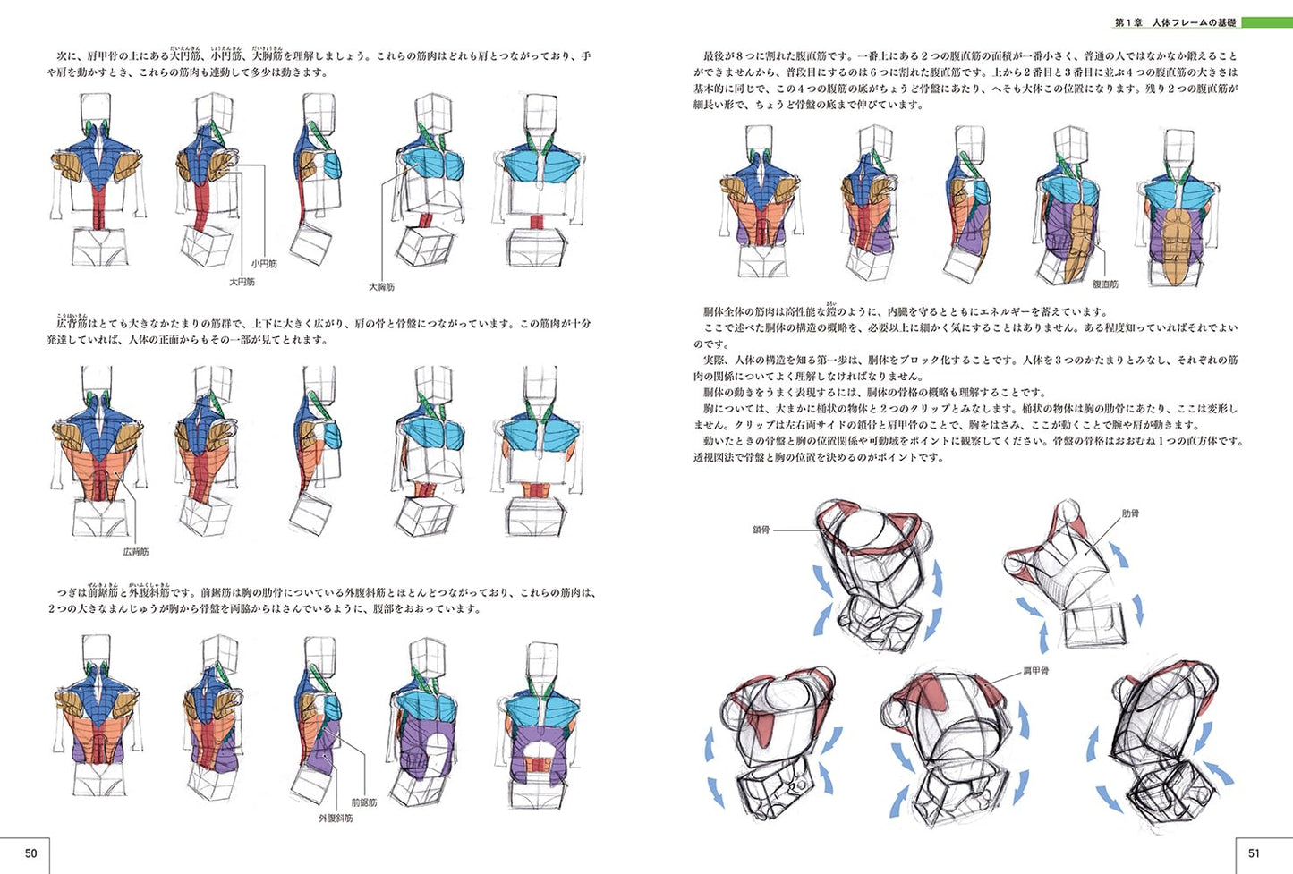 How To Draw Characters Master Guide