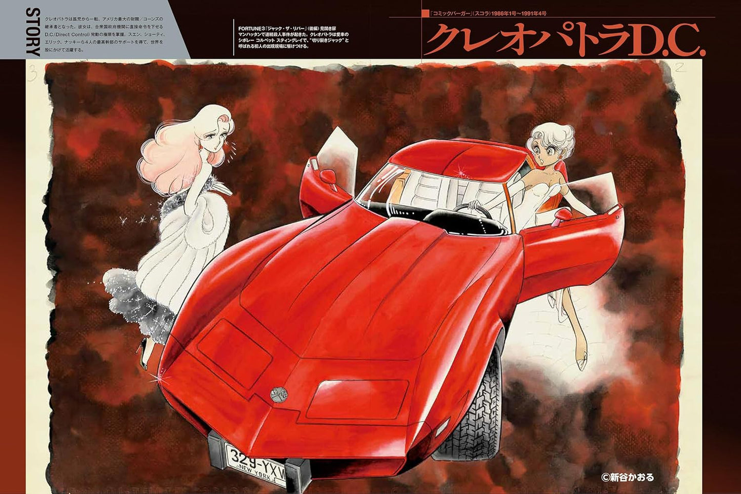Kaoru Shintani Famous Car Graffiti