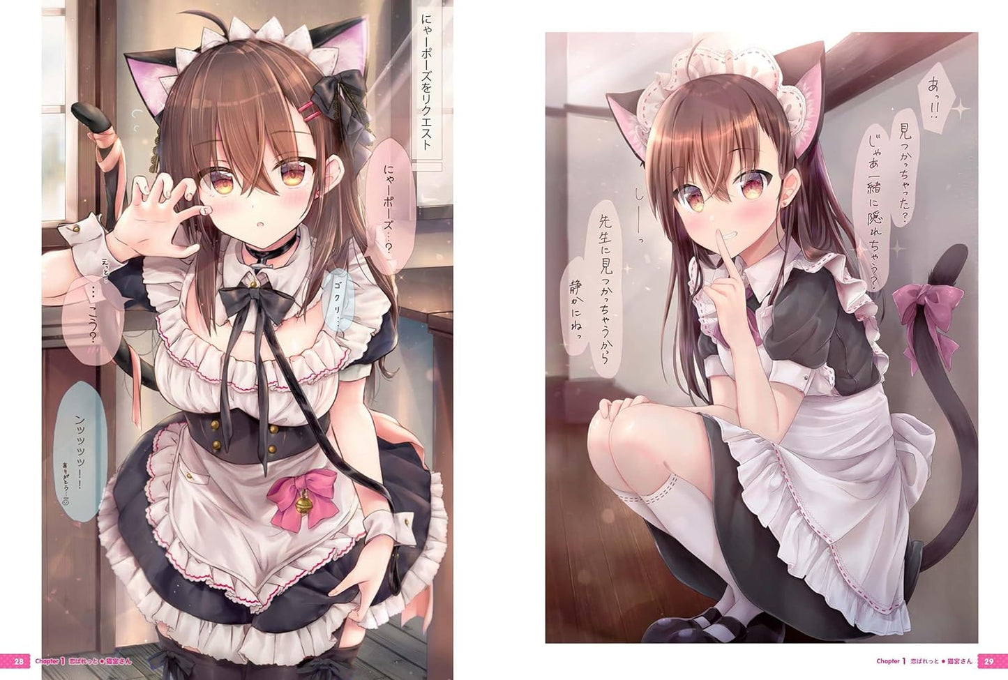 maruma Art Book "Koi Palette"