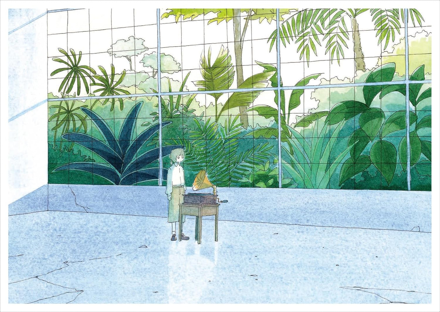 Kashiwai Illustrations