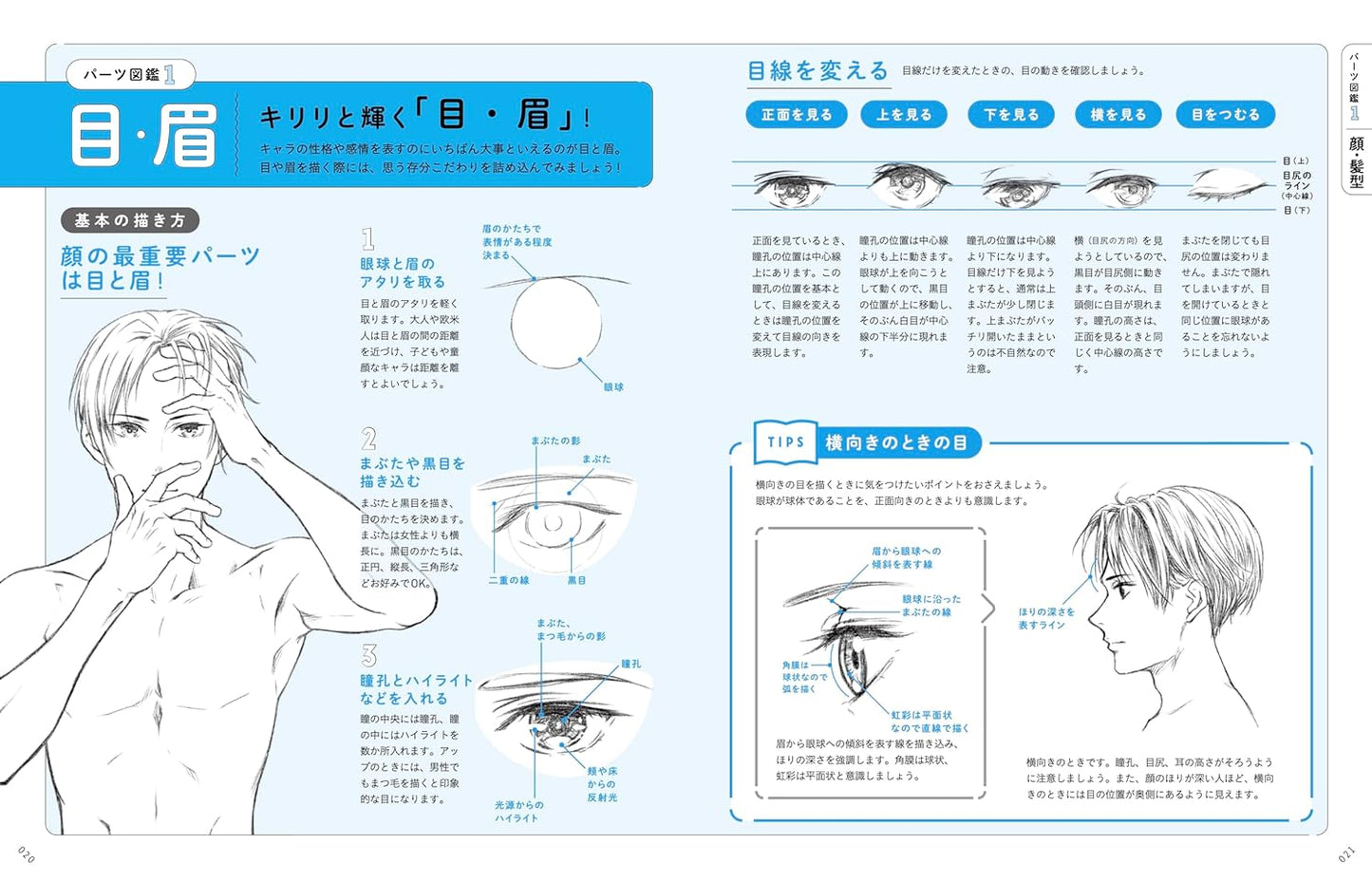 Useful for Drawing! Boy Character Parts Encyclopedia