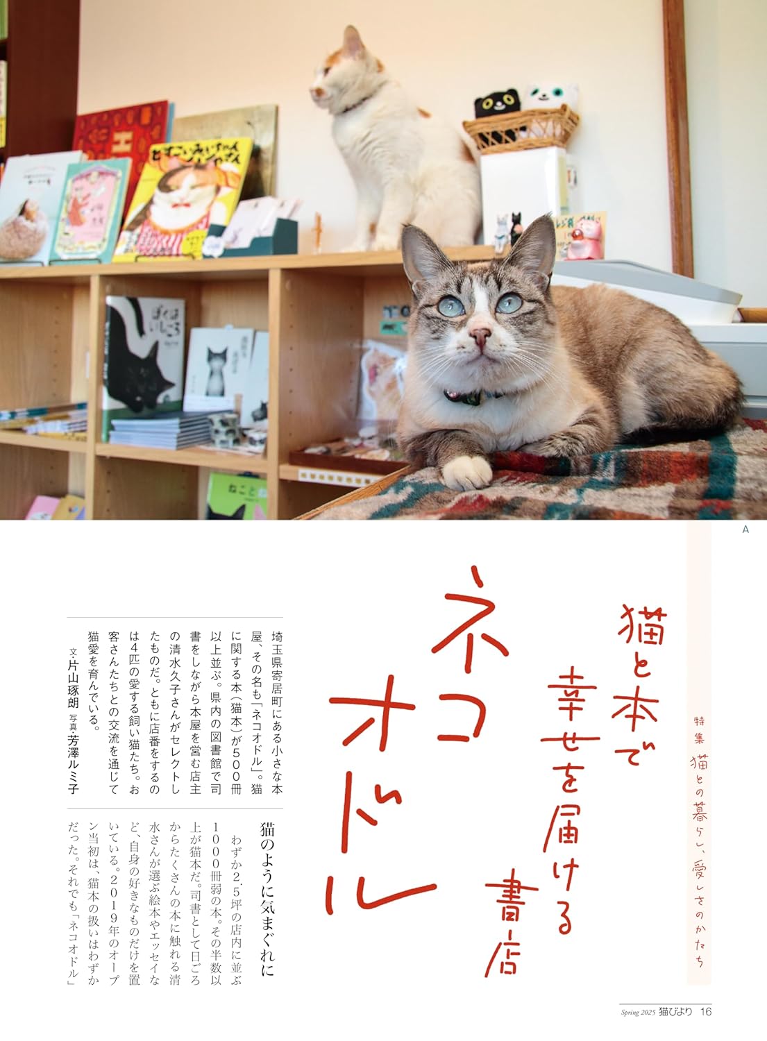 Neko Biyori Spring 2025