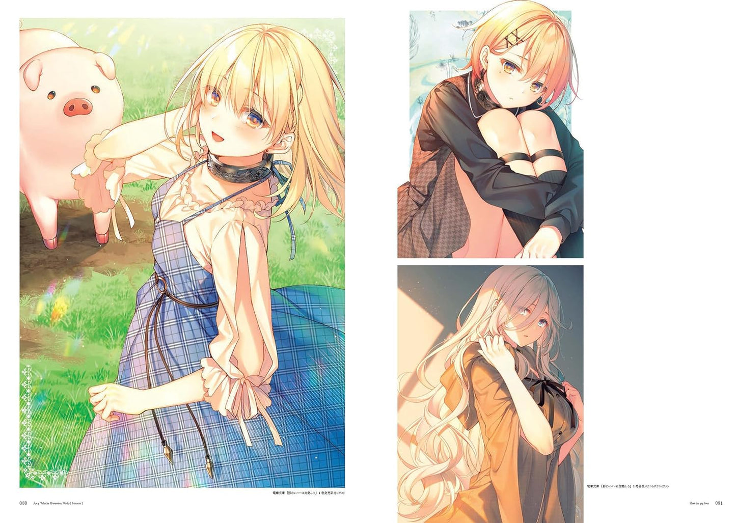 Asagi Tohsaka Illustration Artworks "Lumiere"