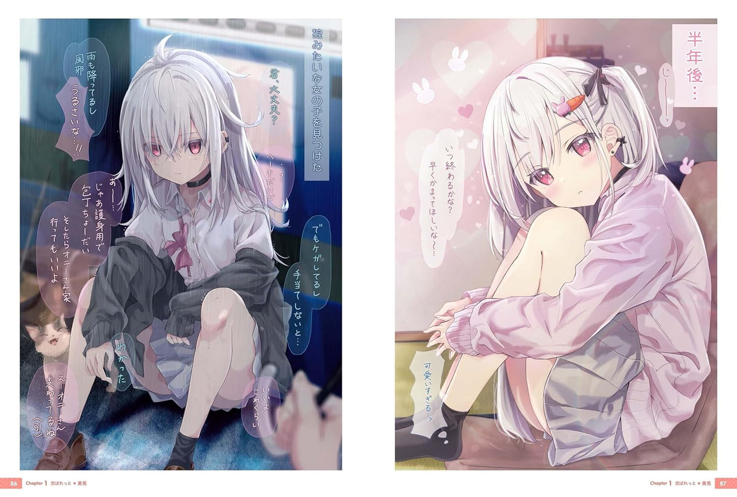 maruma Art Book "Koi Palette"