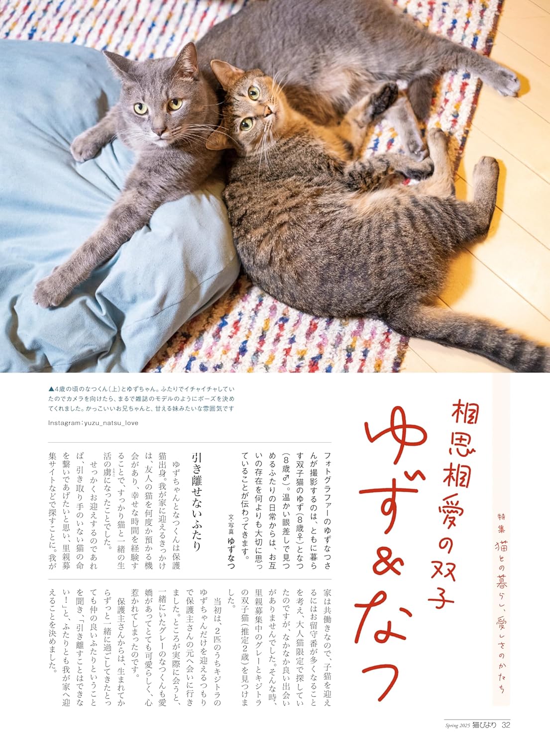 Neko Biyori Spring 2025
