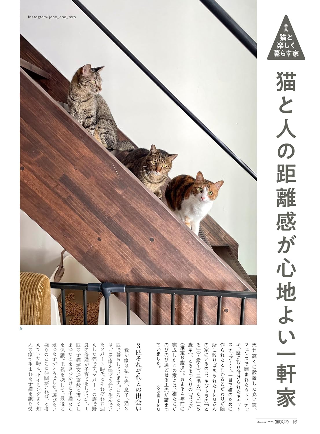 Neko Biyori Autumn 2025