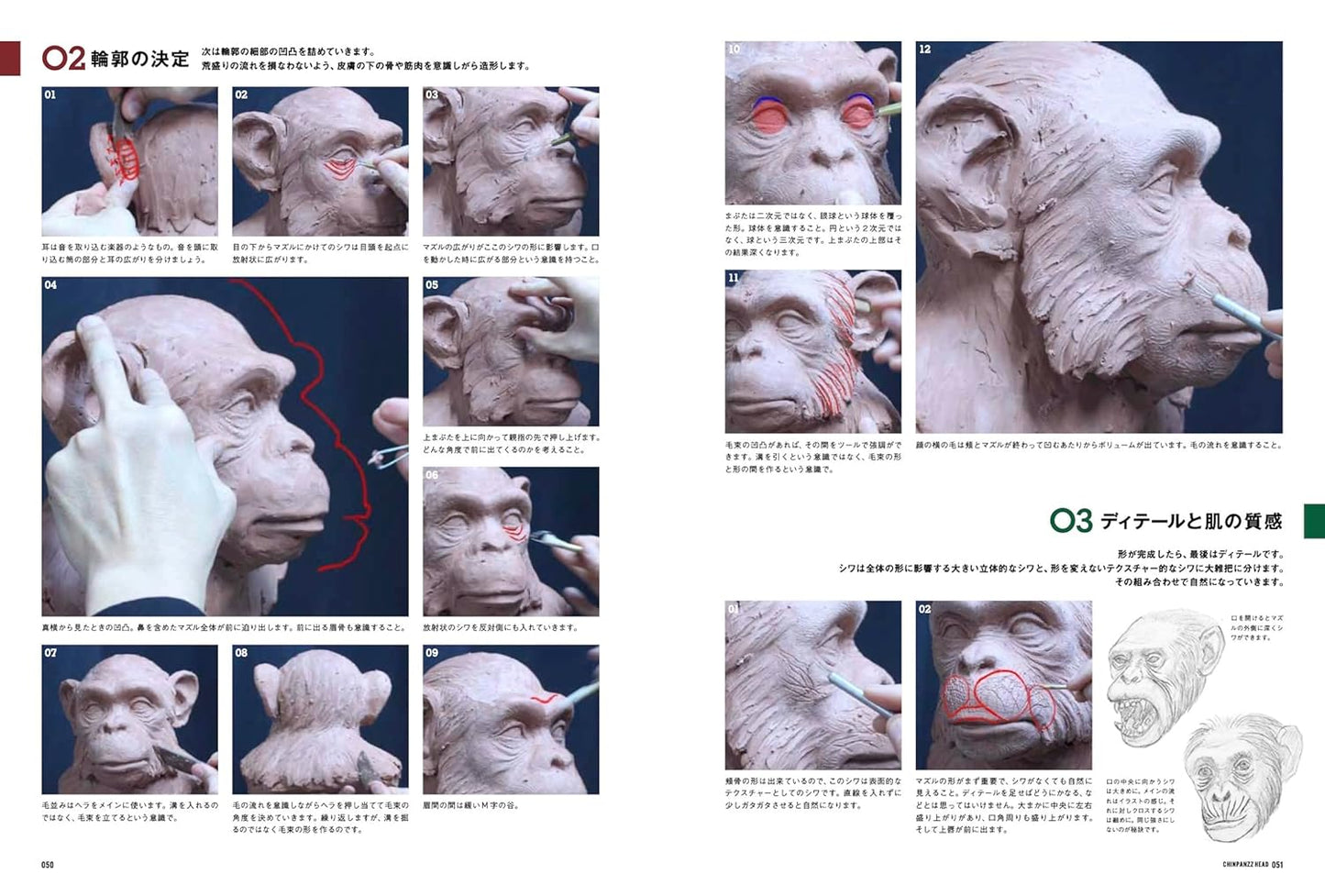 Animal Modeling - Zoological Anatomy for Sculptors Expanded Edition
