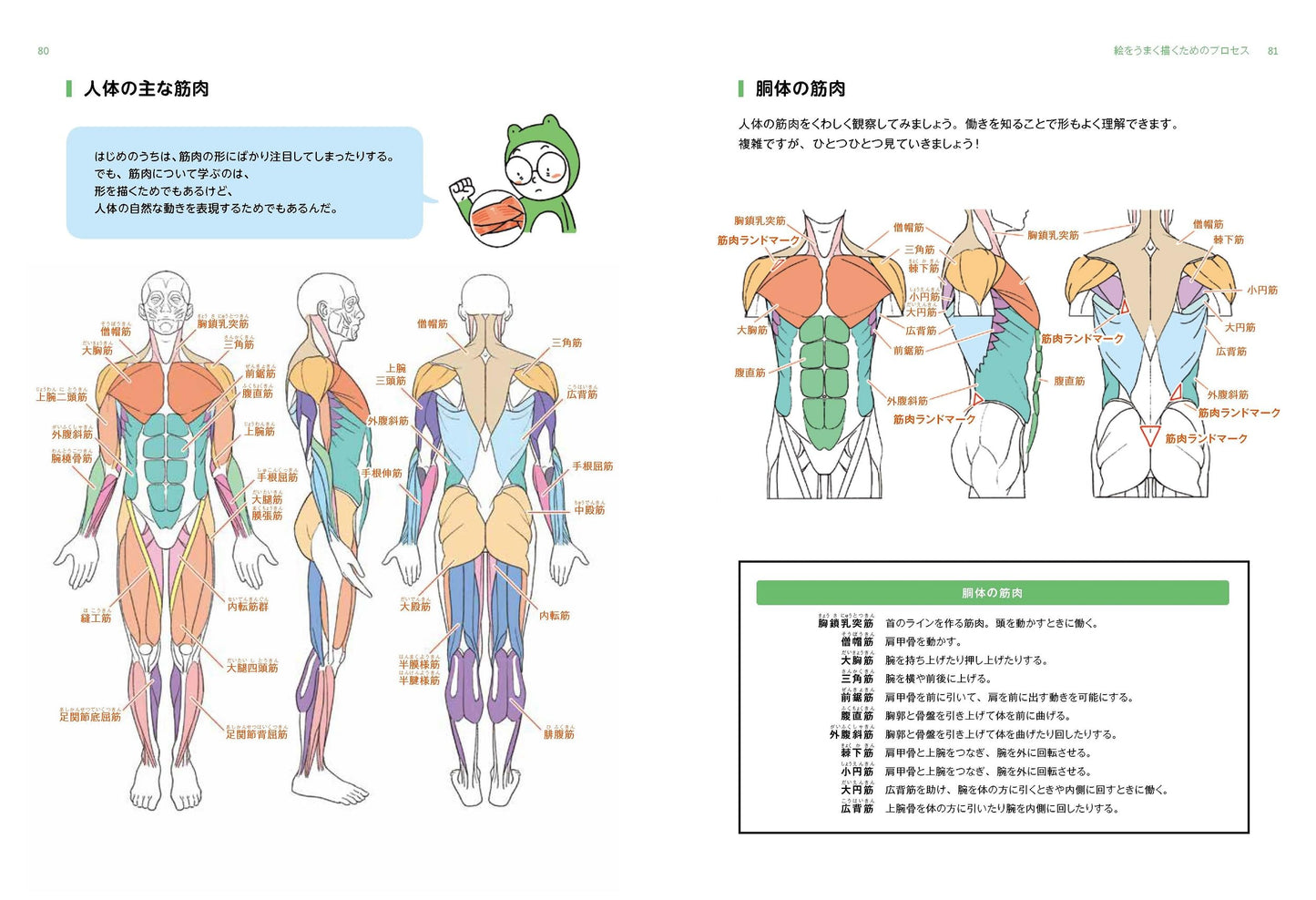 U Yongu's Human Body Drawing Class