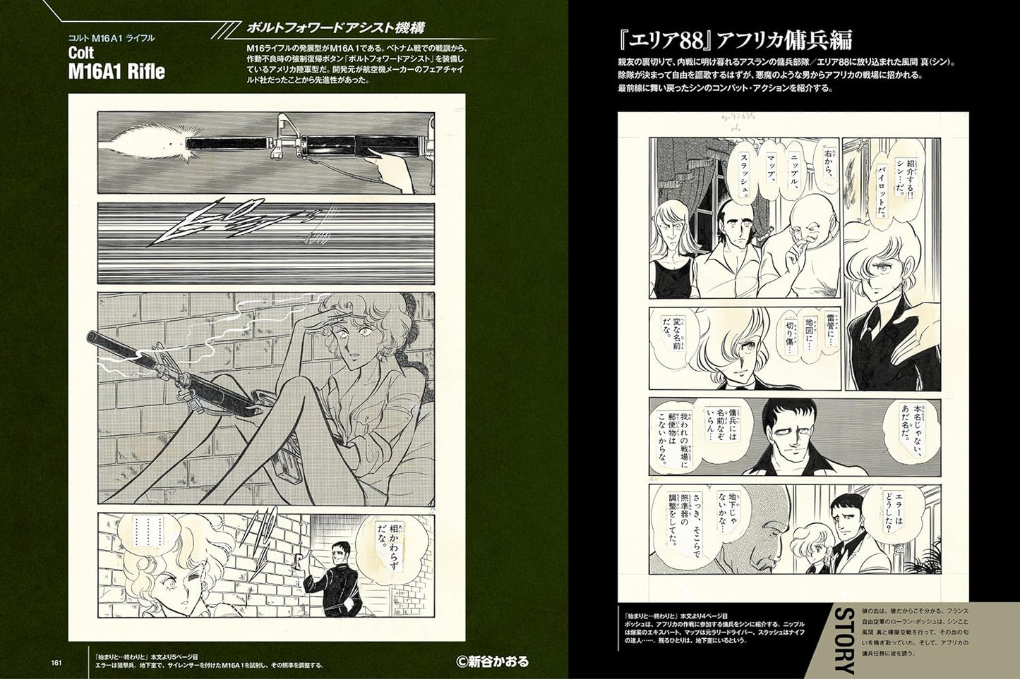 Kaoru Shintani Combat Graffiti