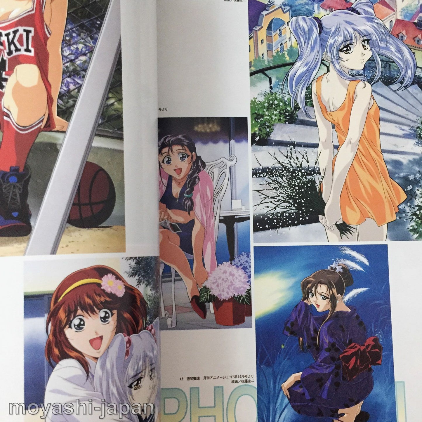 Martian Successor NADESICO Perfects