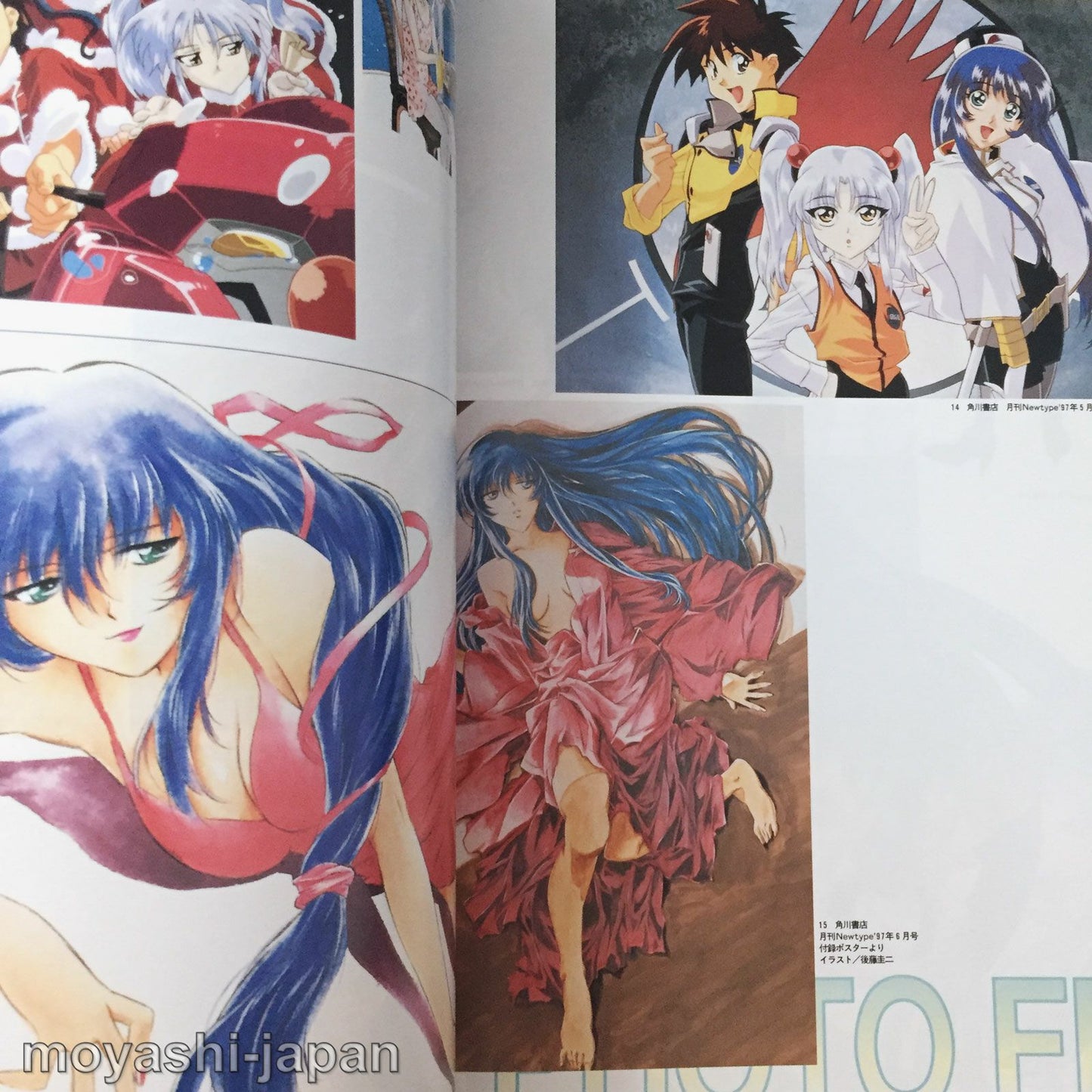 Martian Successor NADESICO Perfects