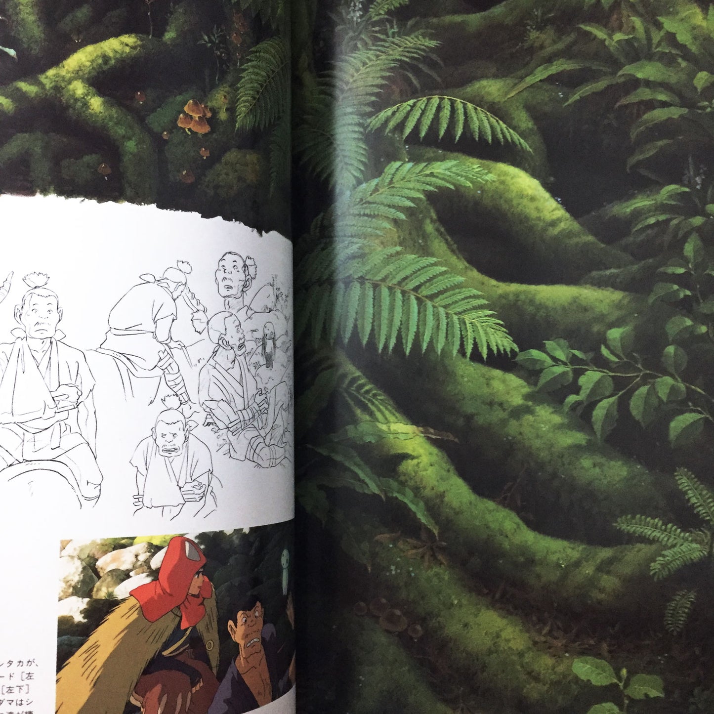 The Art of Princess Mononoke / Studio Ghibli