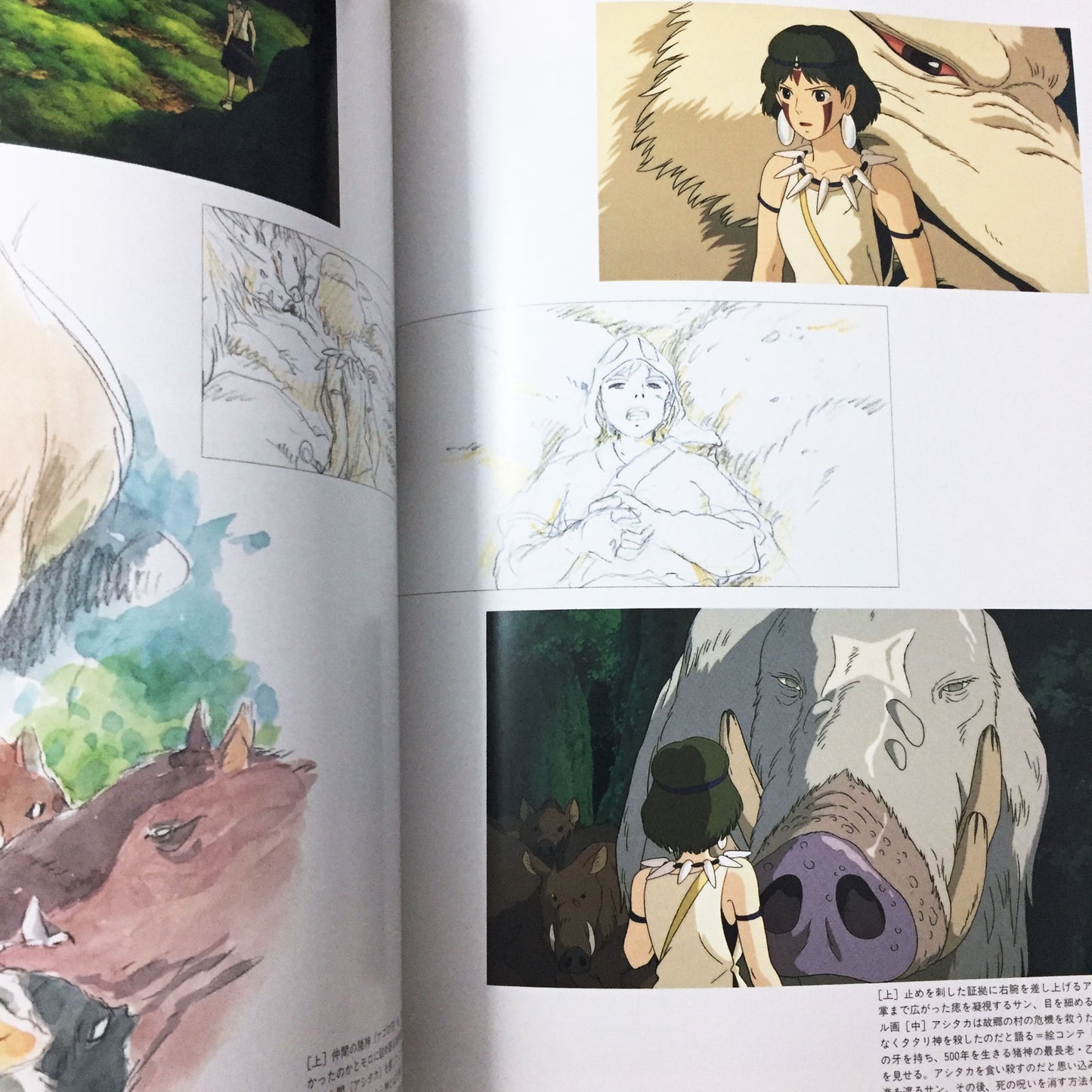 The Art of Princess Mononoke / Studio Ghibli
