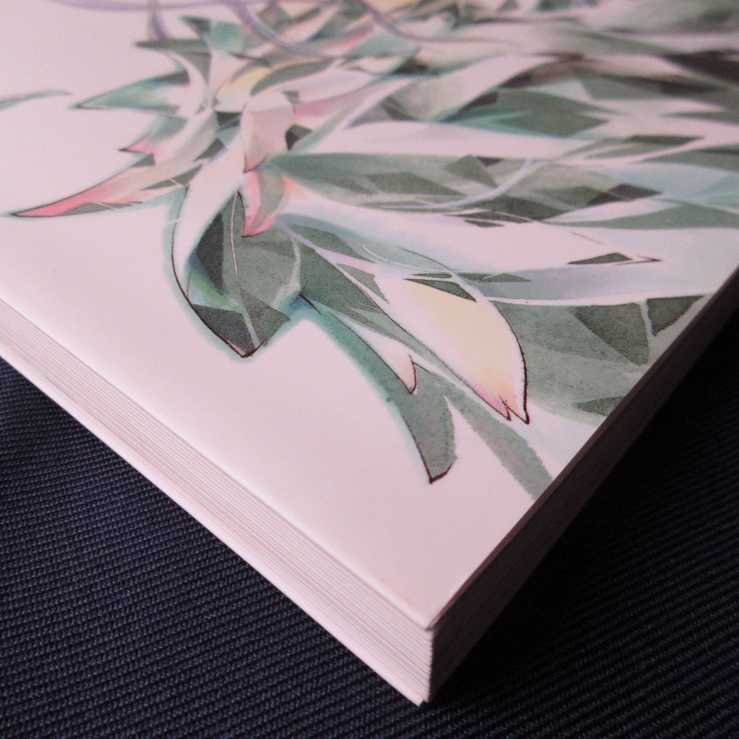 Sey Goto Illustrations "Schiller"