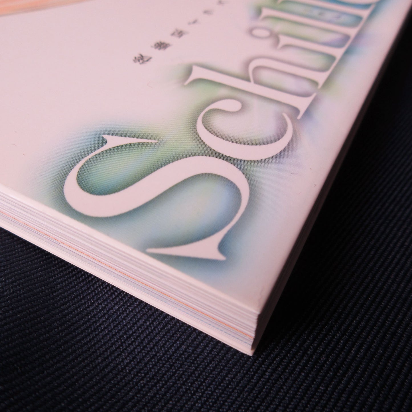 Sey Goto Illustrations "Schiller"
