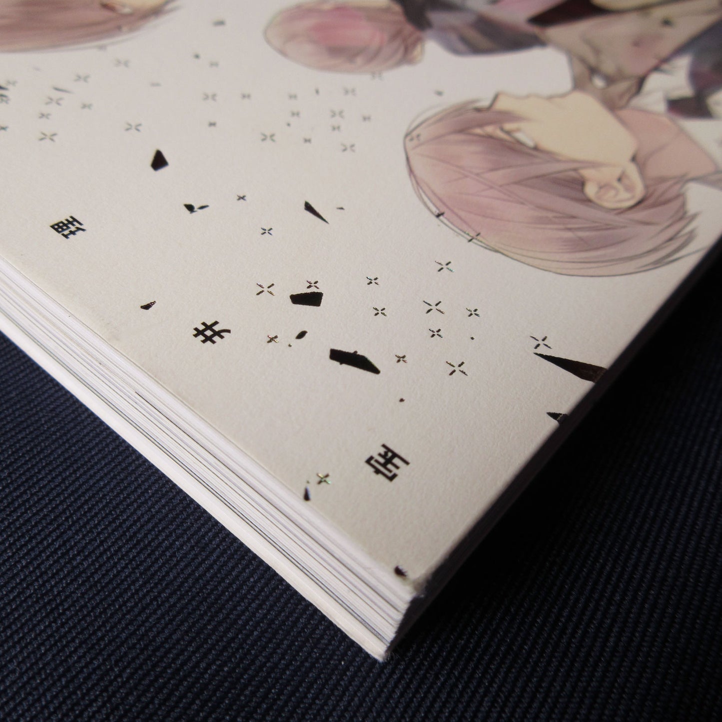 Rihito Takarai Illustrations "MIRROR"