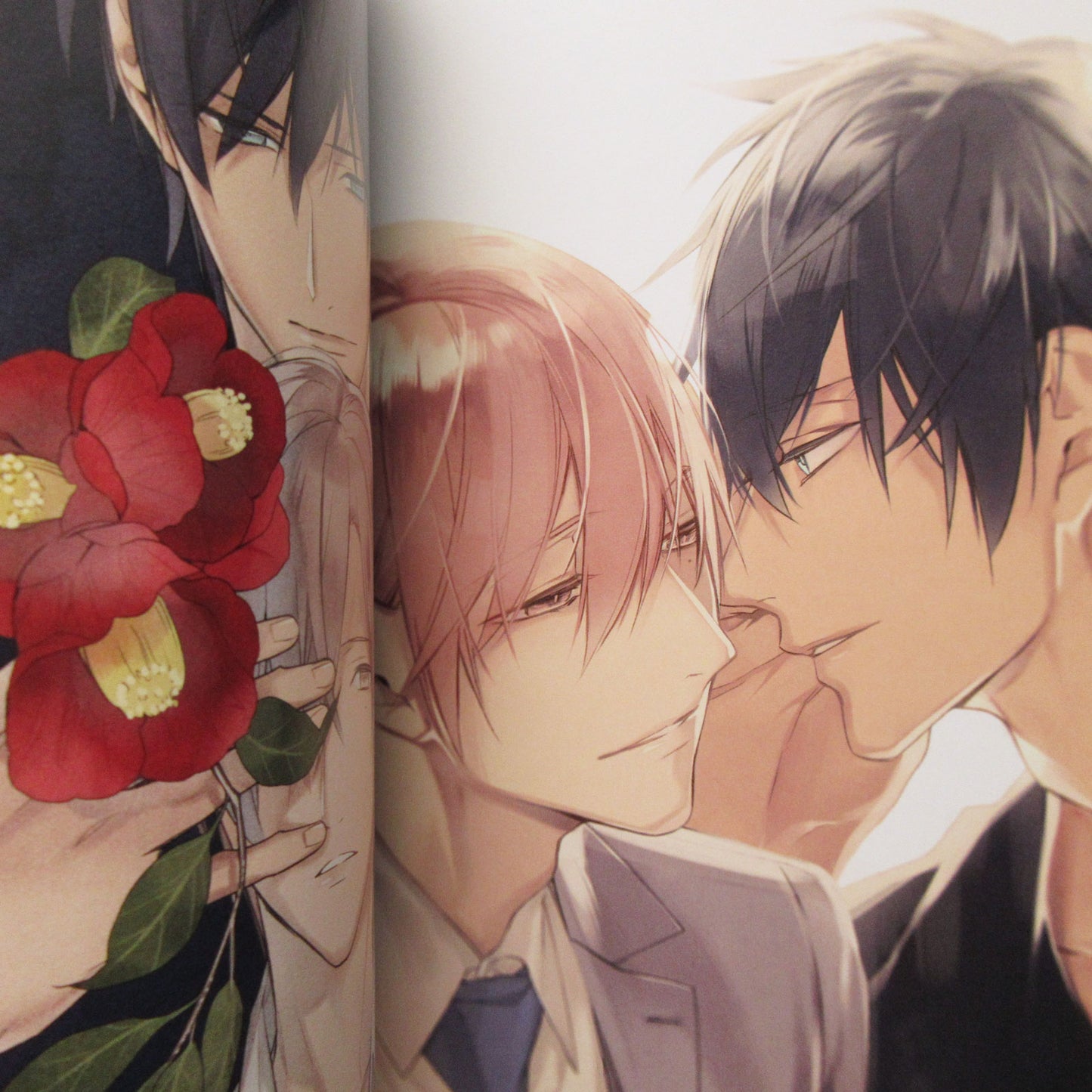Rihito Takarai Illustrations "MIRROR"