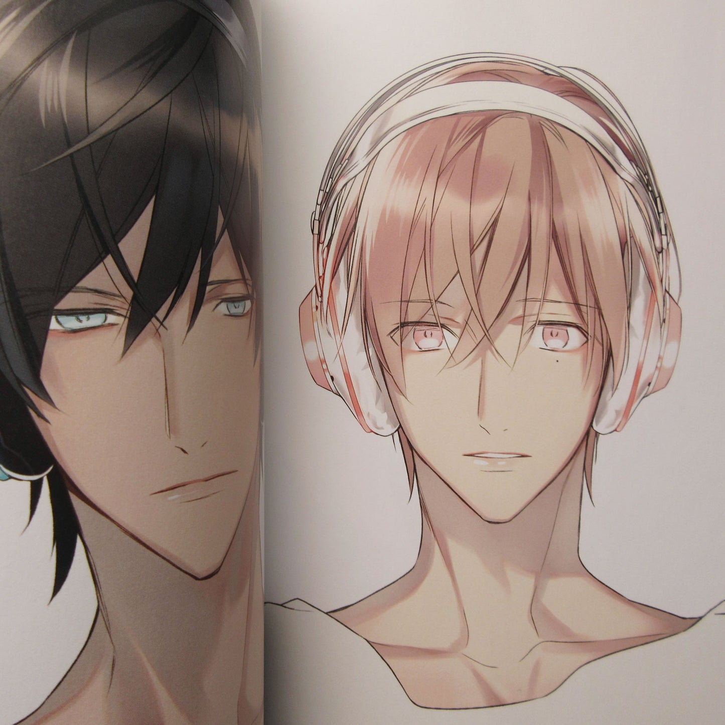 Rihito Takarai Illustrations "MIRROR"