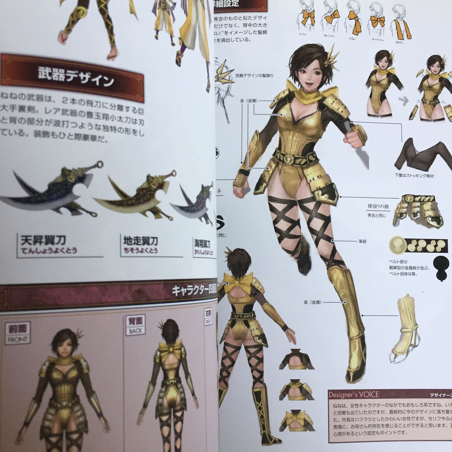 Sengoku Musou 3 Official Data Book ( Samurai Warriors)