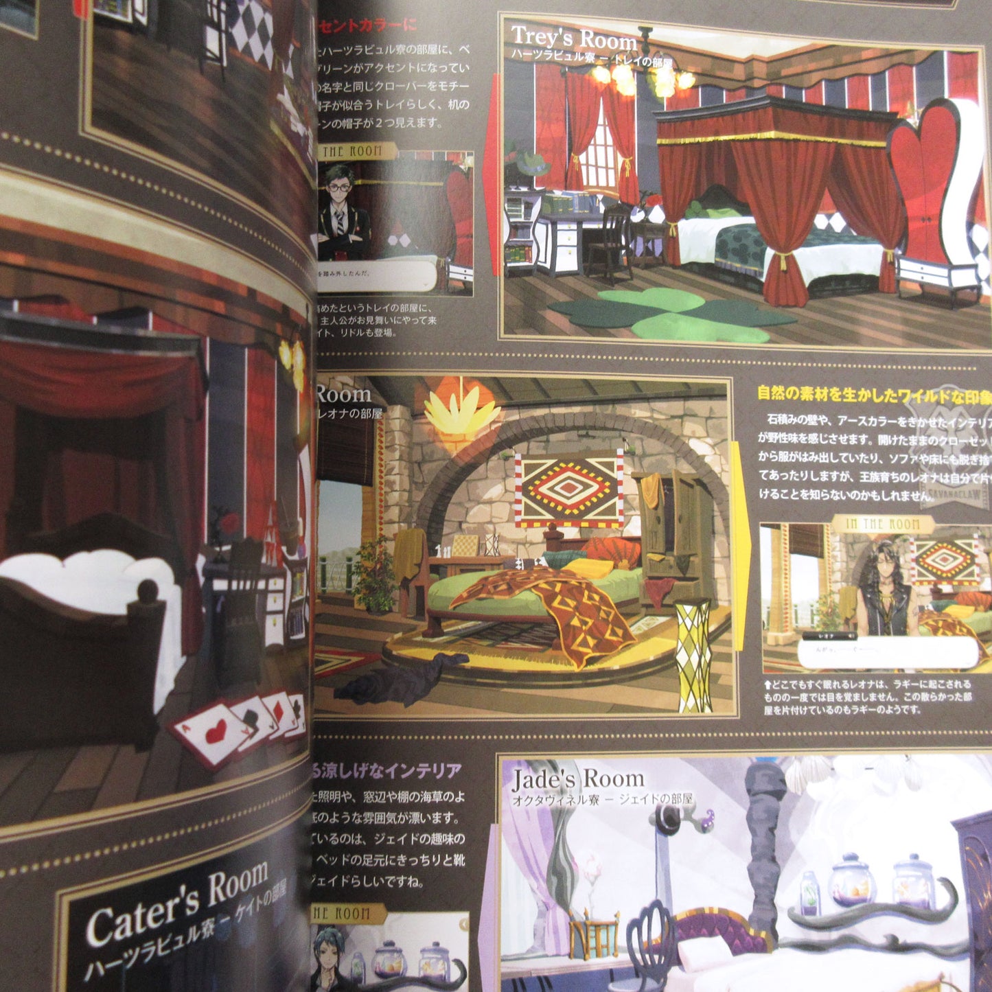 Disney Twisted Wonderland Fan Book