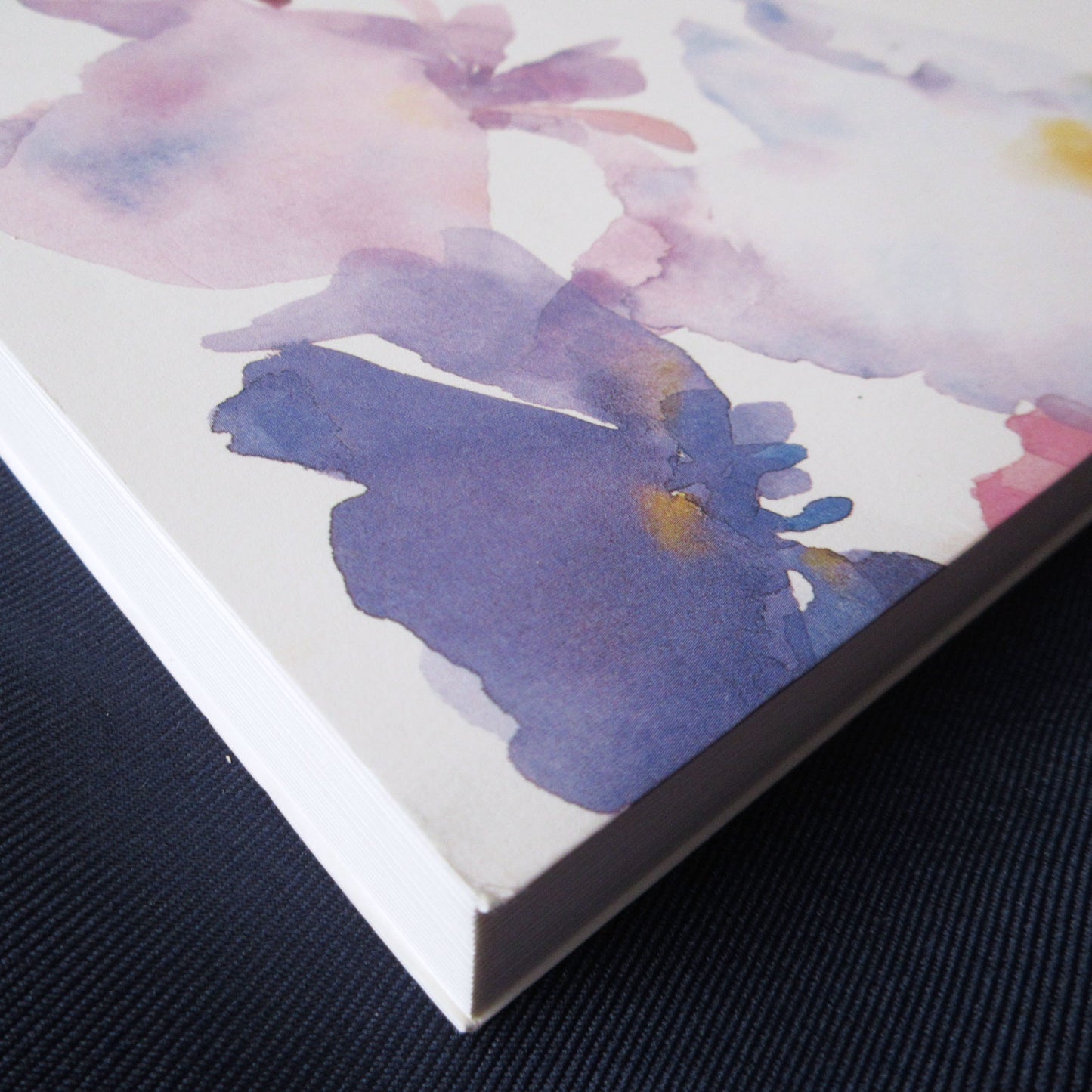 Chihiro Iwasaki Exhibition