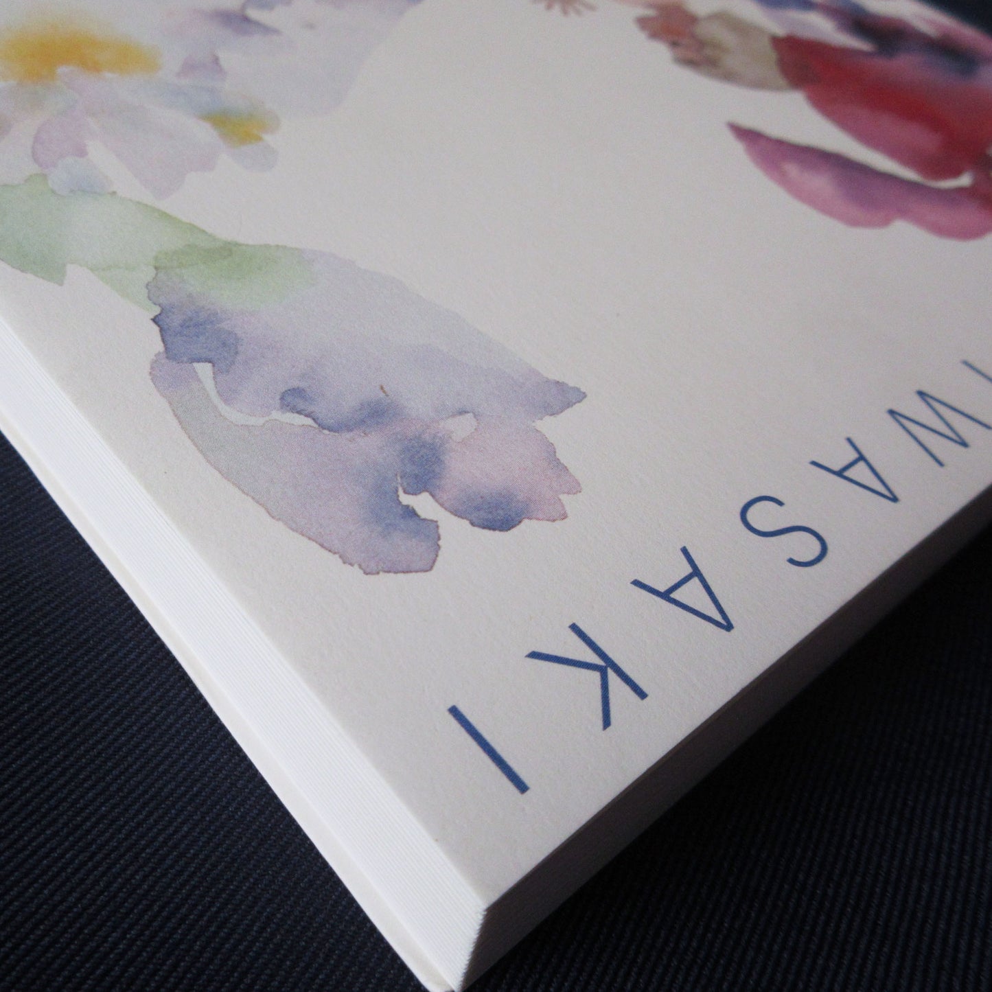 Chihiro Iwasaki Exhibition