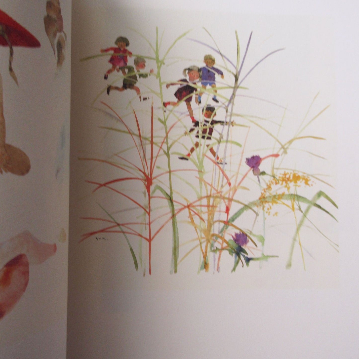 Chihiro Iwasaki Exhibition