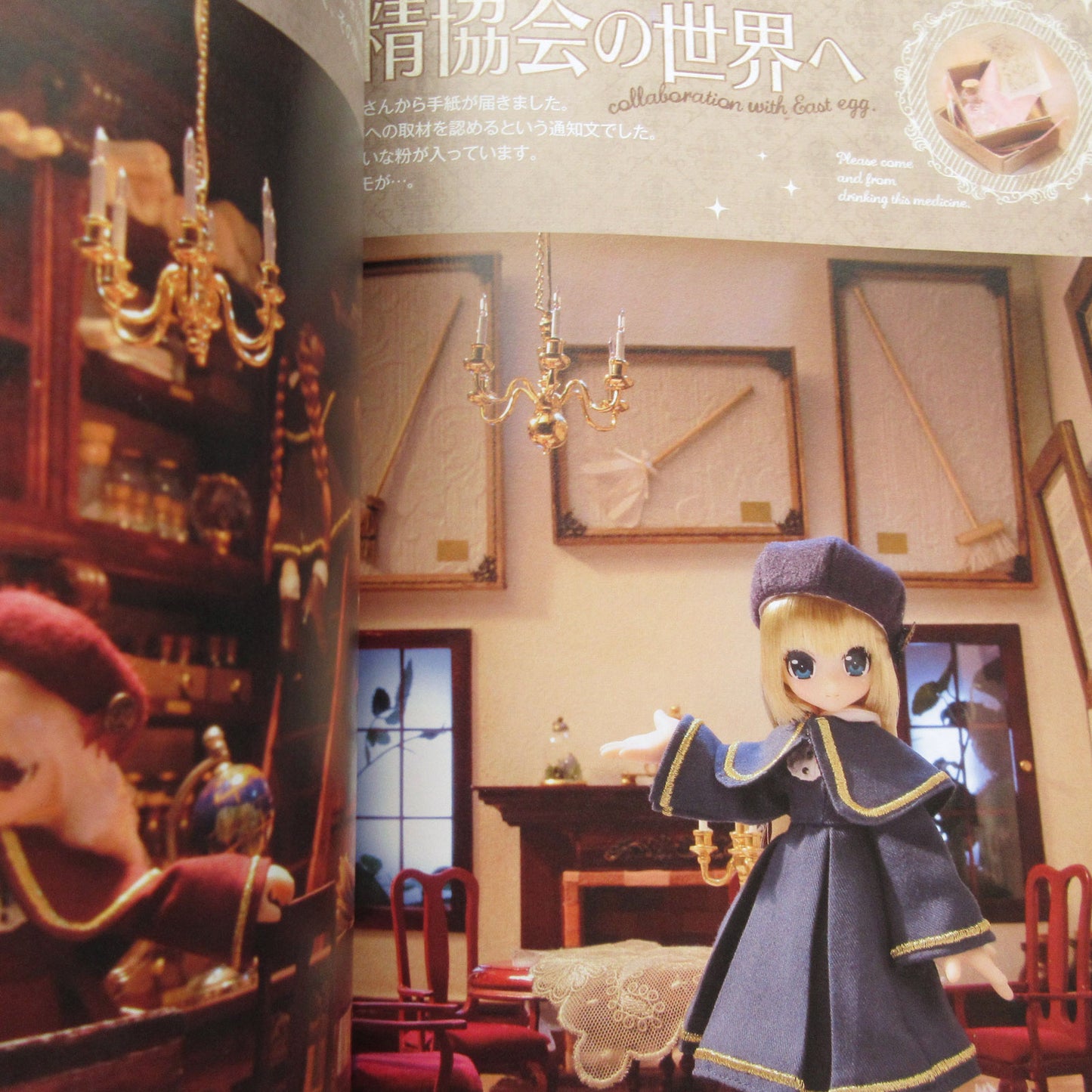 Dolly Dolly 2015 Winter