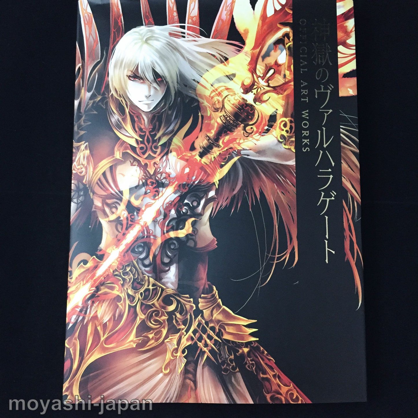 Shingoku no Valhalla Gate Official Art Works