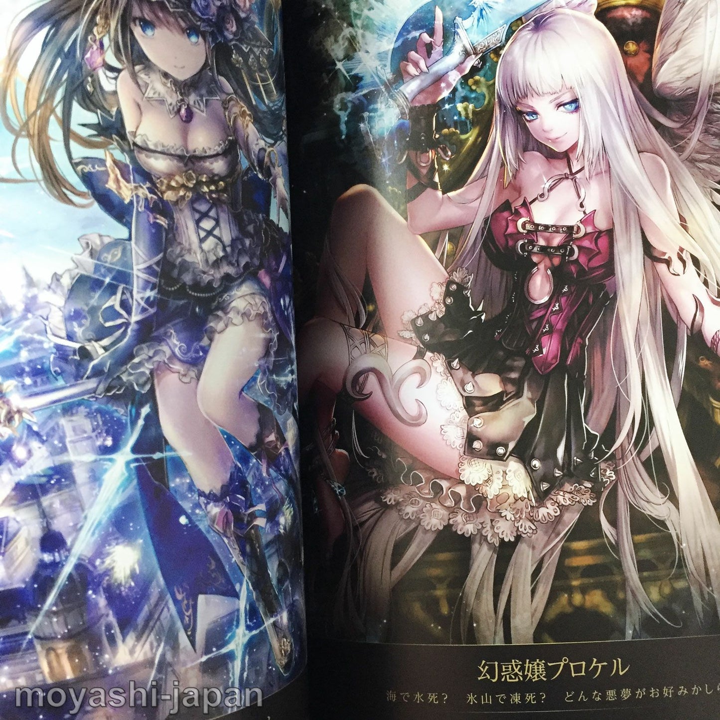 Shingoku no Valhalla Gate Official Art Works